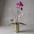 Purple orchid plant in a decorative pot