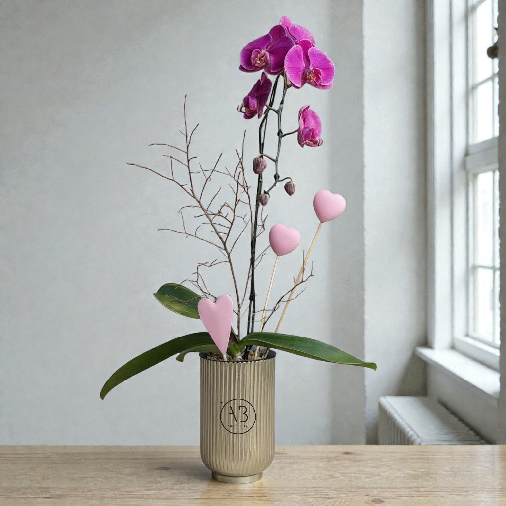 Side view of an orchid plant with arching flower stems