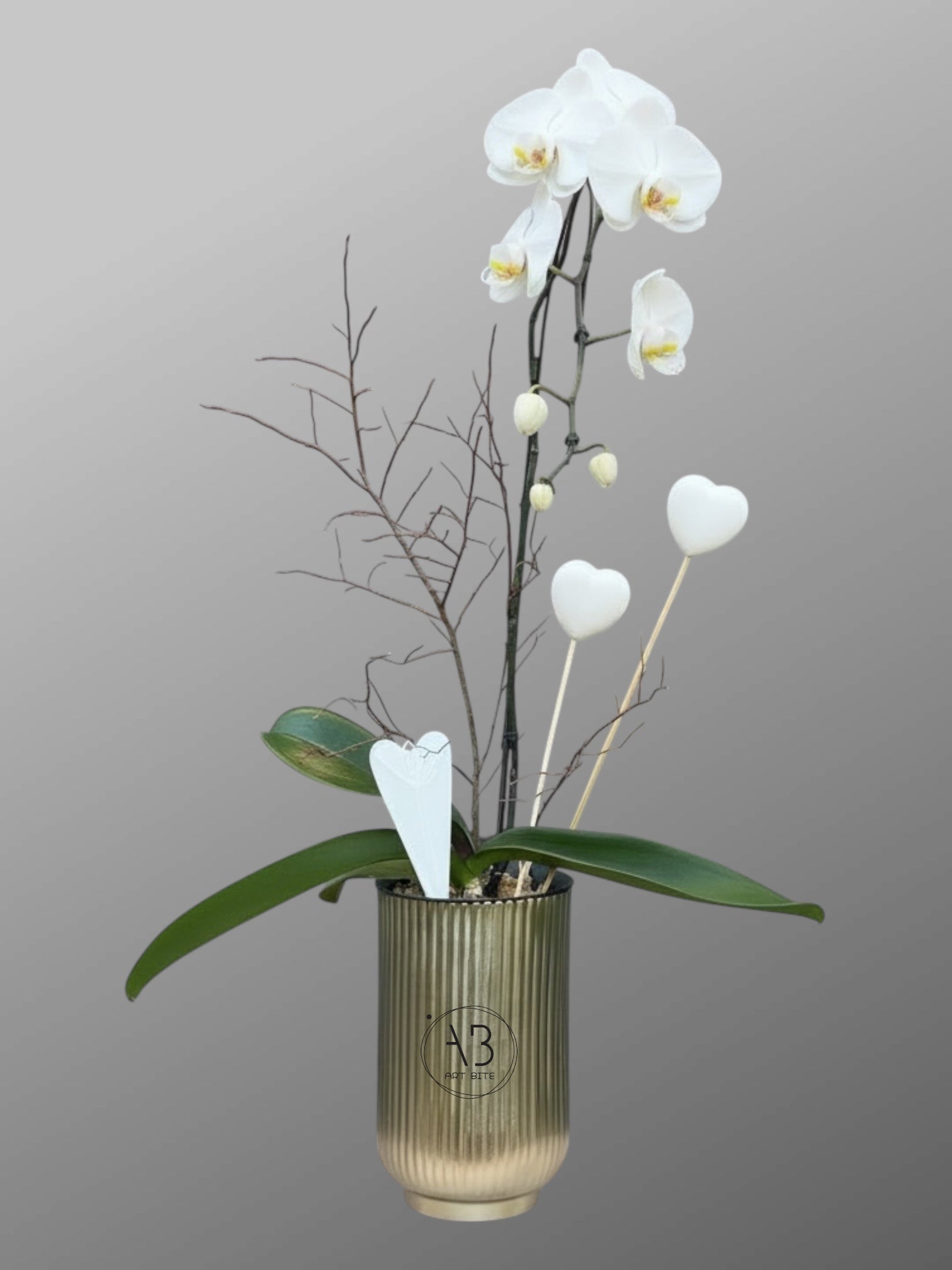 Potted orchid plant styled as a Valentine's Day gift